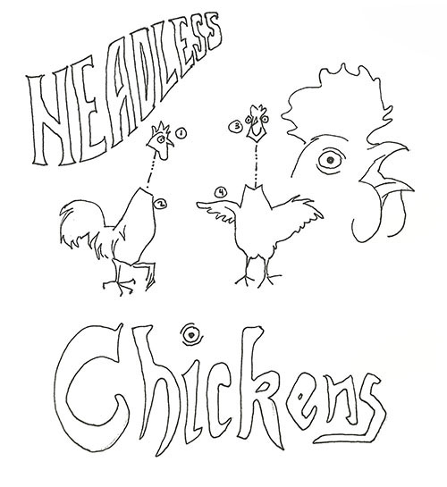 headless chickens 500