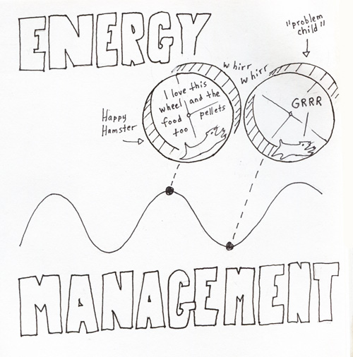 energy management500